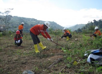 Periodic care and maintenance of plants.